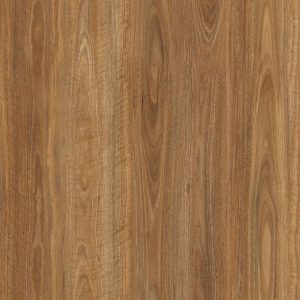Royal Spotted Gum Flooring