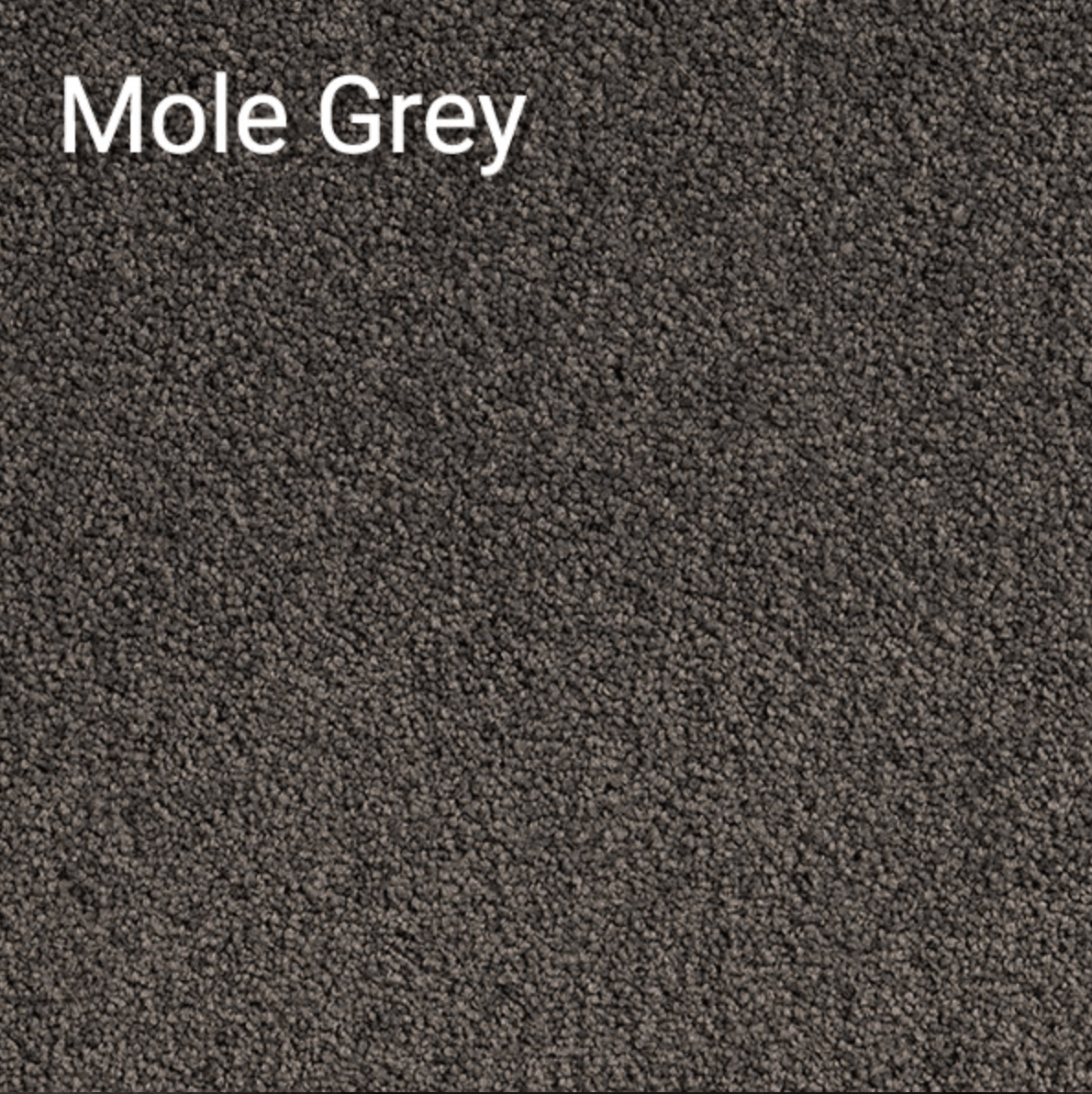MOLE GREY